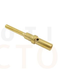 Deutsch 0460-202-1631 Gold Pin Size 16